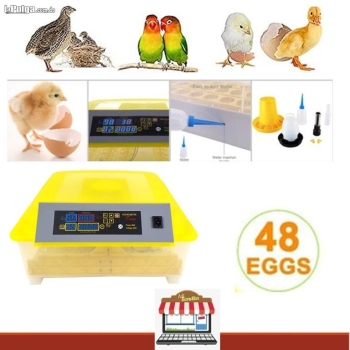 Incubadoras de 48 huevos digital automatico para pollo ganso pato aves