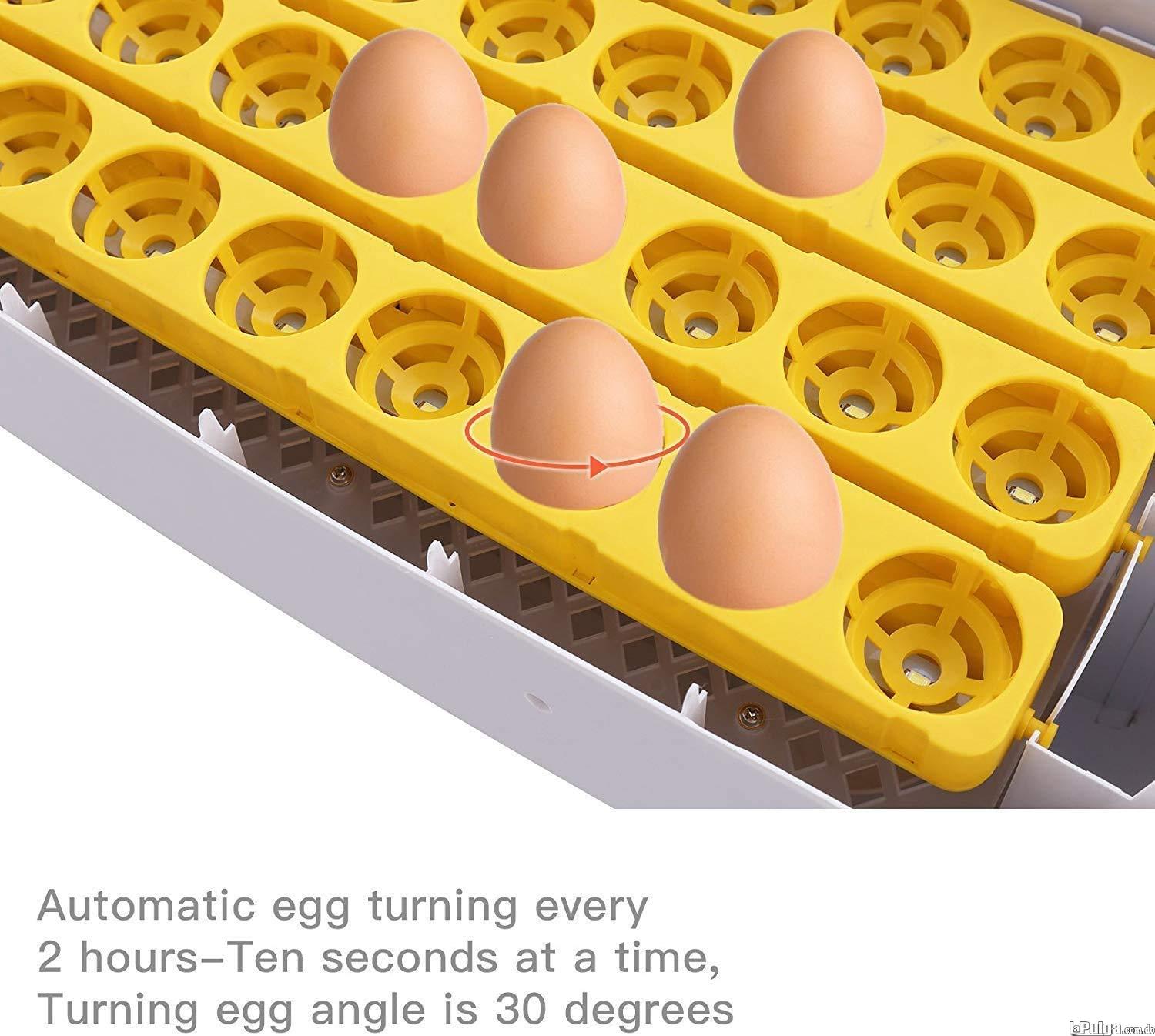 Incubadoras de 48 huevos digital automatico para Pollo Pato Aves Foto 7066715-1.jpg