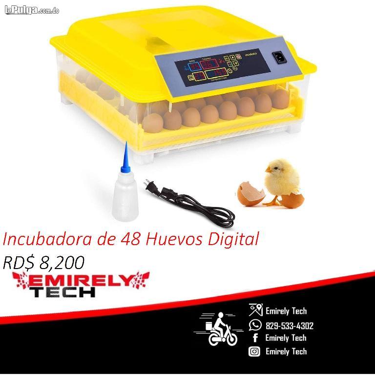 Incubadoras de 48 huevos digital automatico para Pollo Pato Aves Foto 7066715-5.jpg