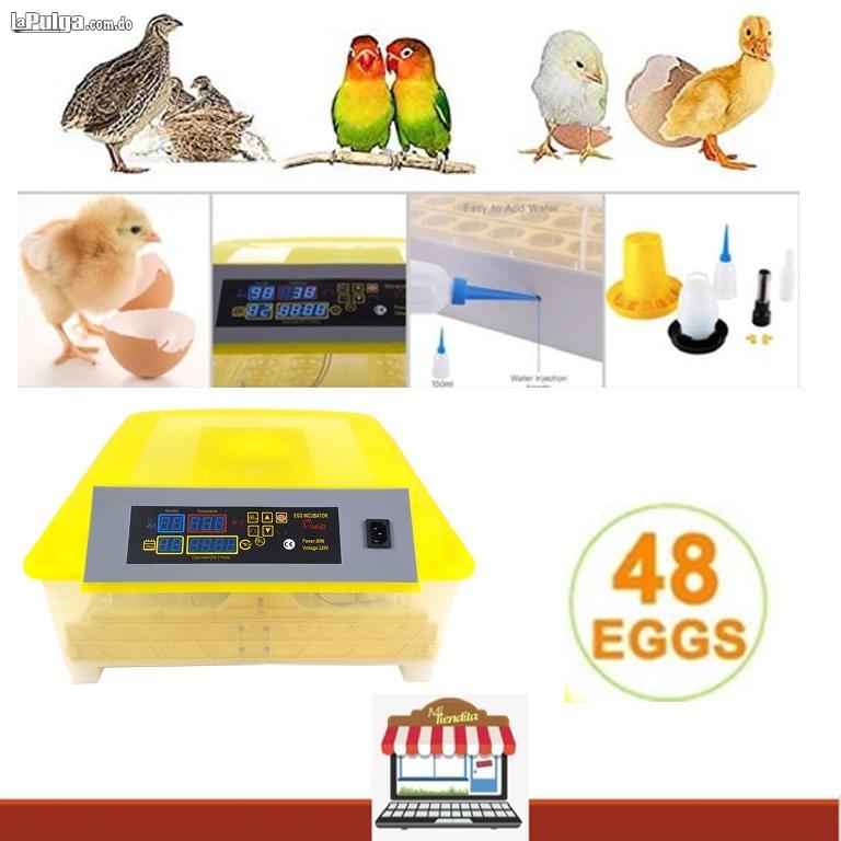 Incubadoras de 48 huevos digital automatico para Pollo Ganso Pato Aves Foto 7066820-1.jpg