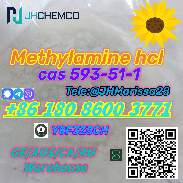 EU Warehouse CAS 593-51-1 Methylamine hydrochloride   Threema Y8F3Z5CH Foto 7222783-2.jpg