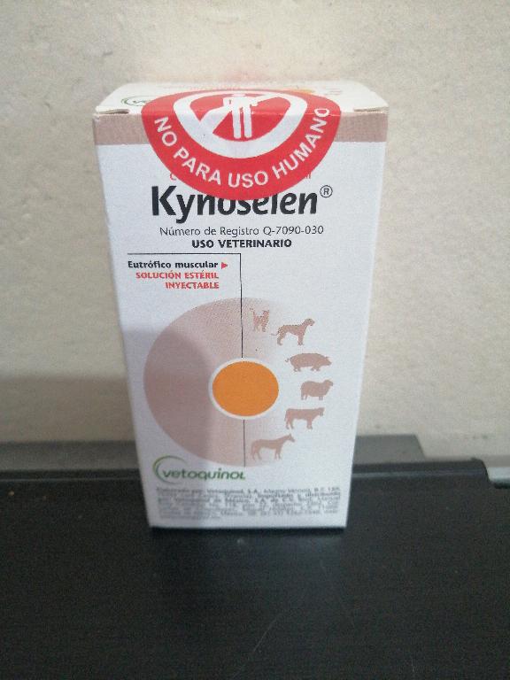 Kynoselen solución inyectable 100ml Foto 7224028-1.jpg