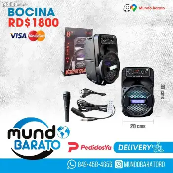 Bocina baffle grande con control y microfono kimiso karaoke