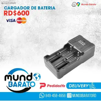 Cargador de baterias li-ion aa aaa batería