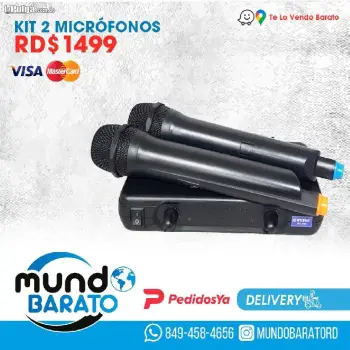 Kit 2 micrófonos inalambricos karaoke profesional