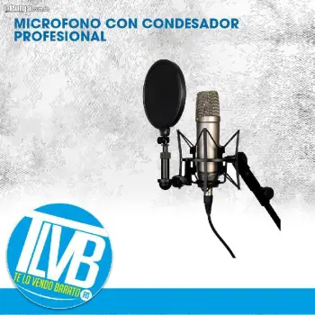 Microfono profesional de estudio con condensador