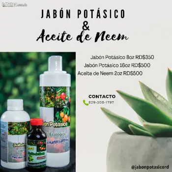 Aceite de neem y jabon potasico