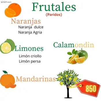 Venta de arboles frutales