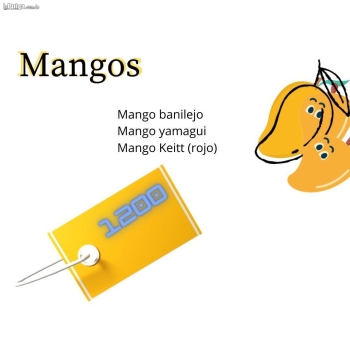 Venta de matas de mango