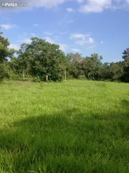 Vendo finca para ganado  en bayaguana de oportunidad