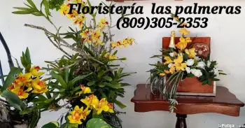 Floristeria las palmeras