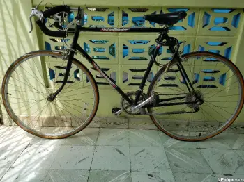 Bicicleta carrera panasonic sport lx