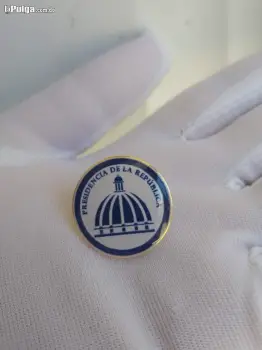 Pin de la cupula del gobierno