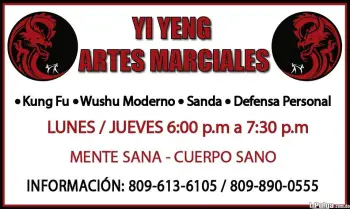 Artes marciales kung fu defensa personal