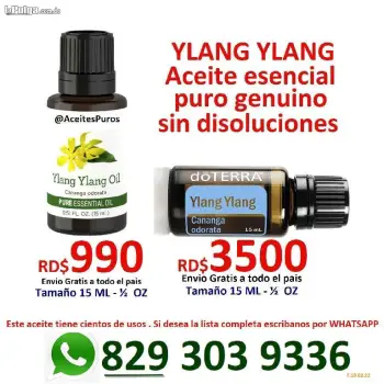 Ylang ylang ilan ilan ylanylan aceites puros originales