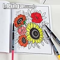 Arteterapia arte terapia libros de dibujo para el estres