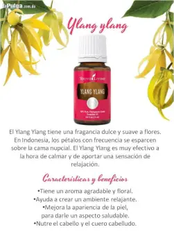 Aceites young living originales genuinos en la república dominicana