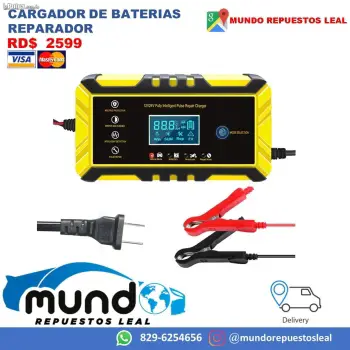 Cargador de bateria 12v 24 v