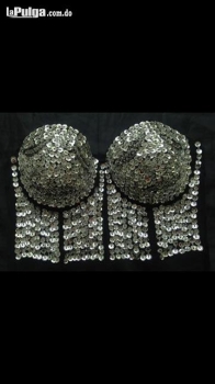 Brasiel selena cantante small crop top