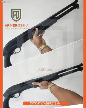 Armas armería física  pistolas escopetas y mas.