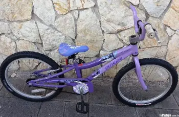 Bicicleta specialized hot morado aluminio aro 20 zona colonial