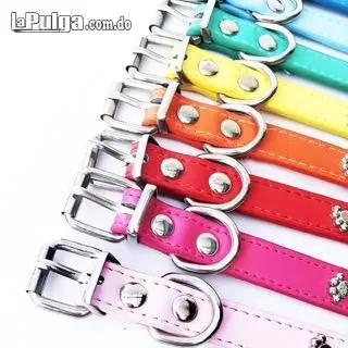 Collar de piel para perro ajustables correa para perros pequeños y m