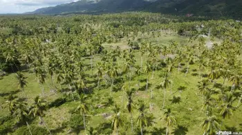 Vendo hermoso terreno con playa de oportunidad en samana