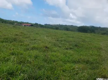 Vendo terreno agrícola bávaro nisibon