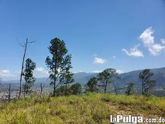 Solar de venta en jarabacoa