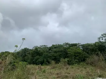 Solar de venta en jarabacoa