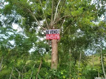 Vendo de oportunidad finca en la victoria  prox. a la ave. circunvalac