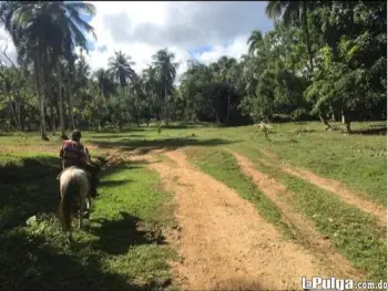 Venta de finca de 1000 tareas con rio en hato mayor