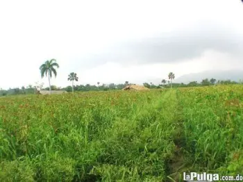 Terreno en azua