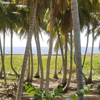 Vendo 1200 metros en nigua cerca de playa