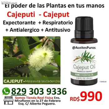 Cajeputi cajeput aceite esencial