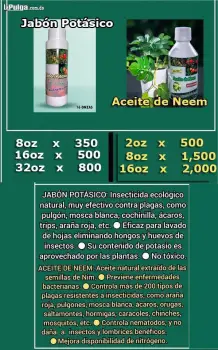 Jabon potasico y aceite de neem