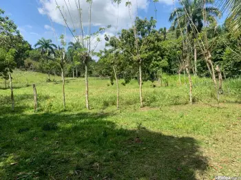 Venta de finca en los churumbeles bobita río san juan.