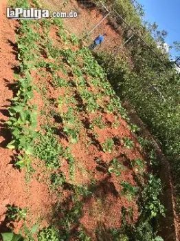 Venta de terreno agricola en los ranchitos  ocoa