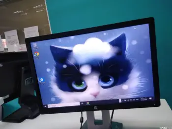 Monitor hp prodisplay p242