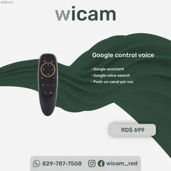 Google control voice