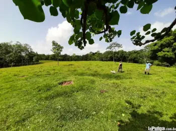 Finca de venta en los palmaritos rio san juan. venta