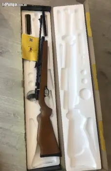 Rifle 22 co2