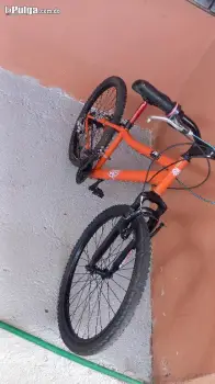 Bicicleta de hierro