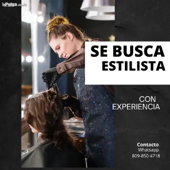 Busco estilista con experiencia