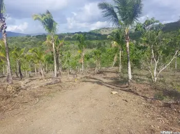 Finquita en proyecto ecoturístico en villa altagracia