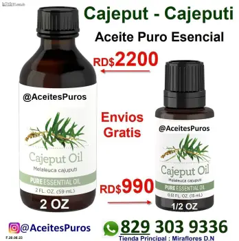 Cajeputi cajeput melaleuca aceite esencial puro importado alta calidad