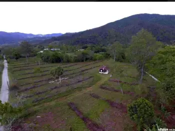 Finca de 118 tareas de venta en jarabacoa