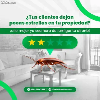 Fumigacion airbnb