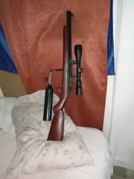 Rifle de aire comprimido  en monseñor nouel