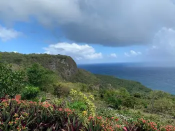 Solar en las galeras- saman